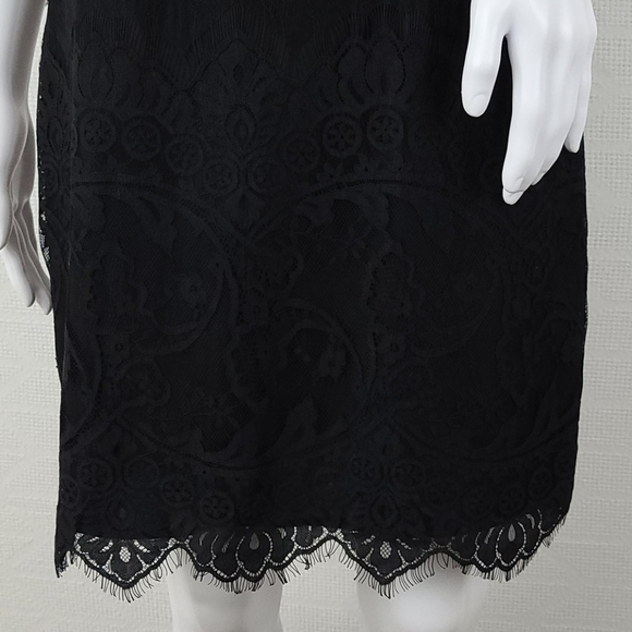 BB Dakota Jayce Lace Sheath Dress - Picture 6 of 15